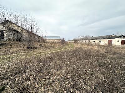 участок по адресу с. Великий Глубочек, Тернопільська, 36