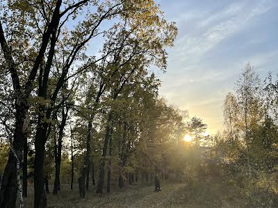 будинок за адресою Терещенківська