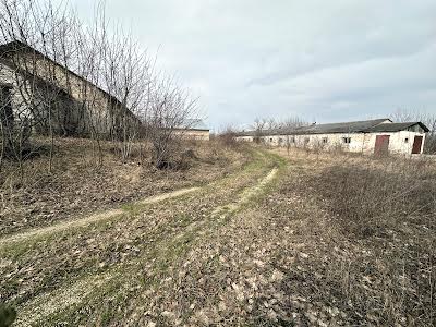 ділянка за адресою с. Великий Глибочок, Тернопільська, 36