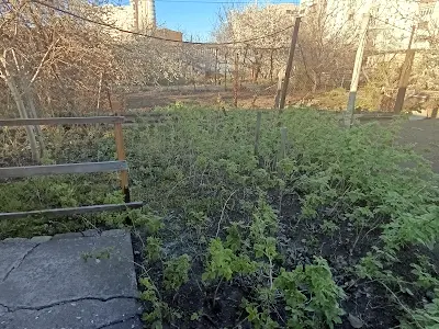 дом по адресу Композитора Вербицького ул. (Олександра Вронського)