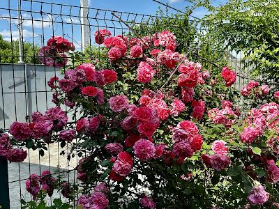 будинок за адресою Київська вул.