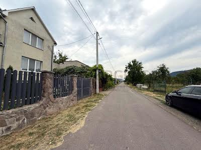будинок за адресою с. Невицьке, Нова