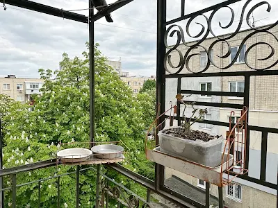 квартира за адресою Дмитра Яворницького вул. (), 9а