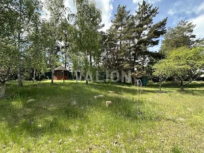 участок по адресу с. Процев, Кодівська, 3А