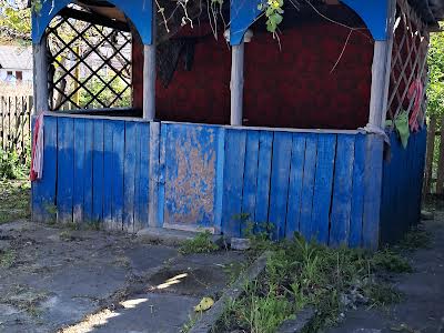 дом по адресу Пашини