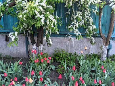 квартира по адресу Гайдамацька ул. (Волзька), 40