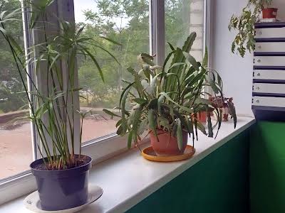 квартира по адресу Івана Котляревського бульв. (Праці), 5