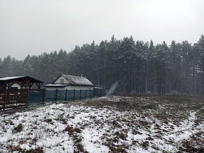 дом по адресу с. Здвижевка, Покровська 15в