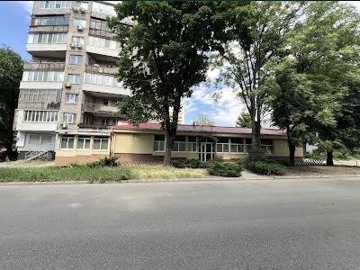 комерційна за адресою Паторжинського вул., 11