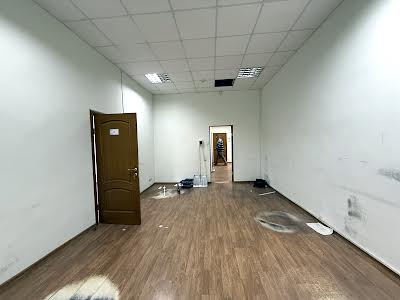 комерційна за адресою Євгена Чикаленка вул. (Пушкінська), 25