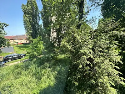 квартира по адресу Игоря Турчина ул. (Блюхера Василия), 8