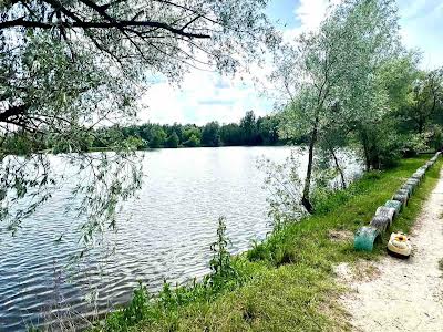 будинок за адресою с. Гореничі, озерна