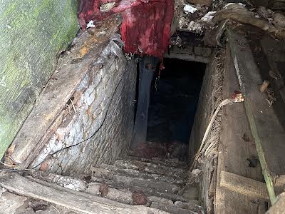 будинок за адресою Топчиіївка, 38