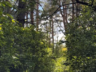 ділянка за адресою Кільцева вул.