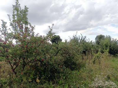 будинок за адресою Центральна, 9
