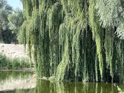 квартира по адресу пгт. Гостомель, Юбилейная ул., 14