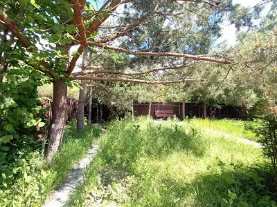 дом по адресу Ходосіївські сади