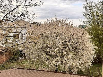 квартира за адресою Метлинського, 10