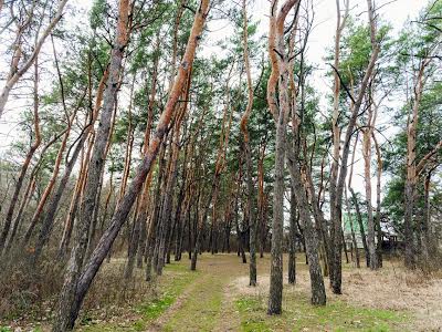 будинок за адресою Степна Далечінь