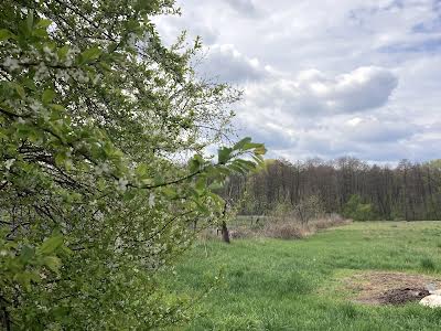 будинок за адресою Кірова, 20