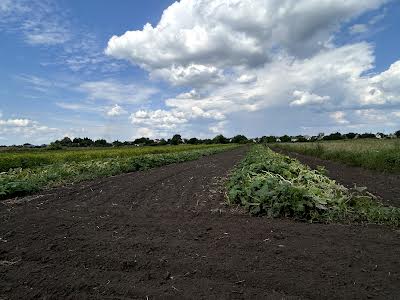 будинок за адресою смт. Гребінки, Гончара Отамана, 9