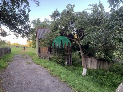 участок по адресу Яремче, Назарія Яремчука