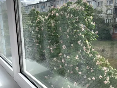квартира за адресою Воскресенський просп. (Перова), 16г