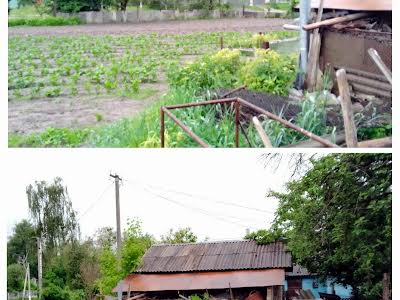 дом по адресу Річкова