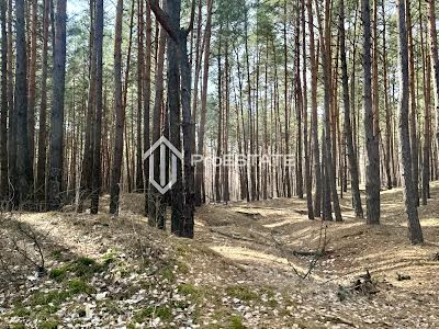 будинок за адресою Переяславська