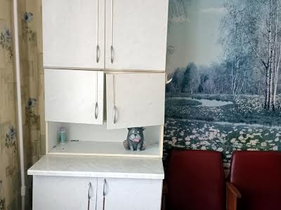 кімната за адресою Оноре де Бальзака вул., 63-Б