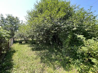 ділянка за адресою с. Буцнів, Абоикосова