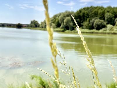 будинок за адресою с. Михайлівка-Рубежівка, Тиха