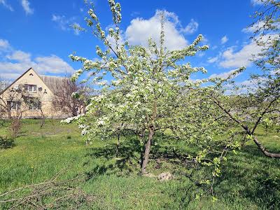 будинок за адресою с. Вишеньки, жертв революціі, 53