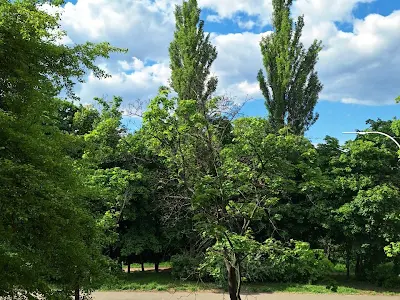 квартира по адресу Уманская ул., 41
