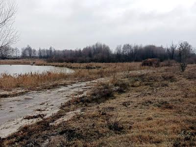 ділянка за адресою с. Проців, 