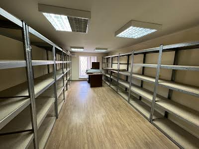 комерційна за адресою Євгена Чикаленка вул. (Пушкінська), 25