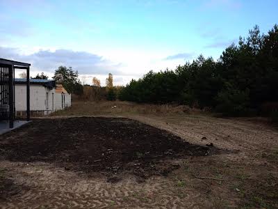 дом по адресу с. Старые петровцы, Лісова