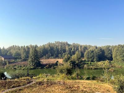 участок по адресу с. Петрушки, Лісова, 8