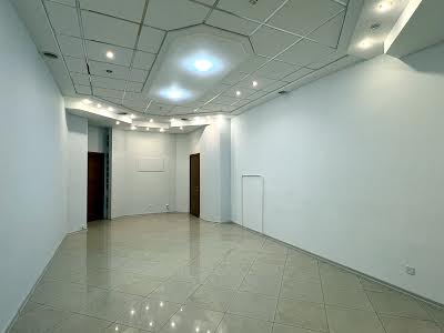 комерційна за адресою Шота Руставелі вул., 16-А
