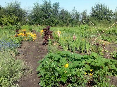 будинок за адресою с. Масківці, Шевченка, 20А