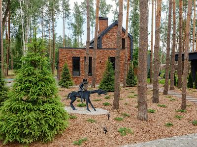 дом по адресу с. Лебедевка, Петра Сагайдачного, 50