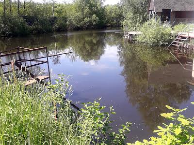 будинок за адресою с. Дениші, Центральна