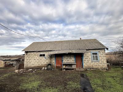 будинок за адресою с. Шевченкове, Братів Тобілевичів