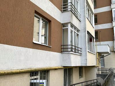 комерційна за адресою Леоніда Перфецького вул., 2А
