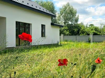 будинок за адресою Розкішна