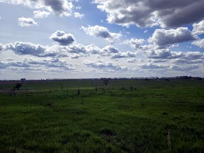 ділянка за адресою Кичеївська