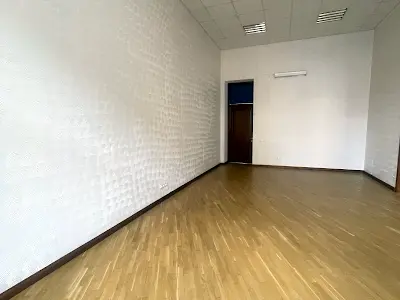 коммерческая по адресу Деревлянская ул. (Якира), 13