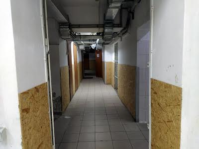 комерційна за адресою Лесі Українки вул., 14