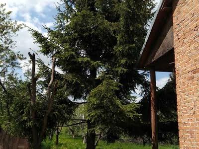 будинок за адресою Михайла Грушевського вул.