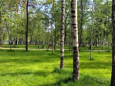 квартира за адресою Воскресенська вул., 16-В